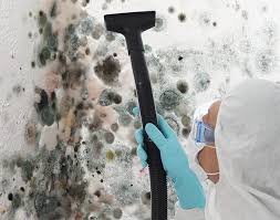 Why You Should Choose Our Mold Remediation Services in Ebensburg, PA